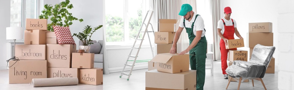 Packers and Movers in Ajman: What You Need To Know